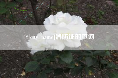 商水消防证的查询