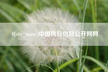 商水中国执行信息公开网网
