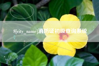 商水消防证初级查询系统