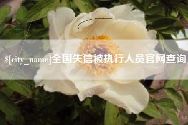 商水全国失信被执行人员官网查询