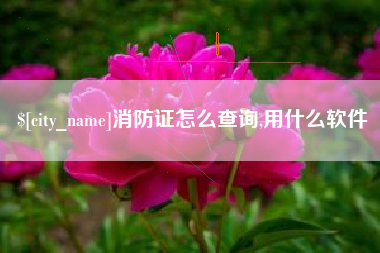 商水消防证怎么查询,用什么软件