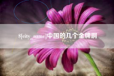 商水中国的几个金牌啊