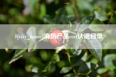 商水消防产品cccf认证目录
