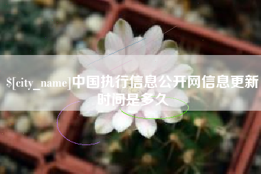 商水中国执行信息公开网信息更新时间是多久
