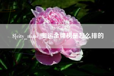 商水奥运金牌榜是怎么排的