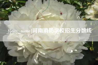 商水河南消防学校招生分数线