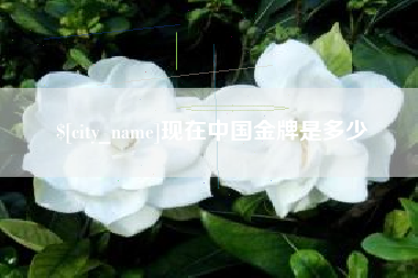 商水现在中国金牌是多少