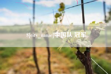 商水中国队 冠军