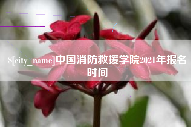 商水中国消防救援学院2021年报名时间