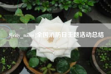 商水全国消防日主题活动总结