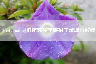 商水消防救援学院招生录取分数线