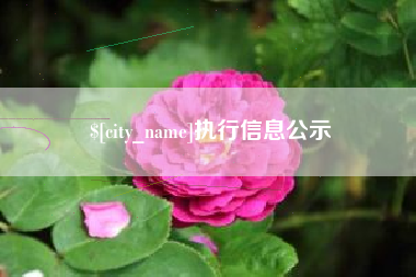 商水执行信息公示