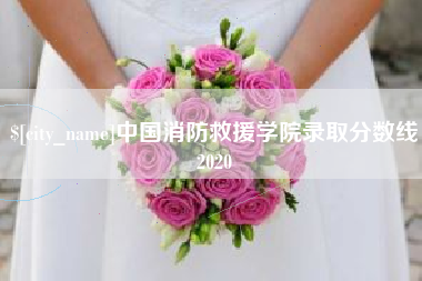 商水中国消防救援学院录取分数线2020