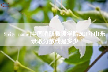 商水中国消防救援学院2021年山东录取分数线是多少