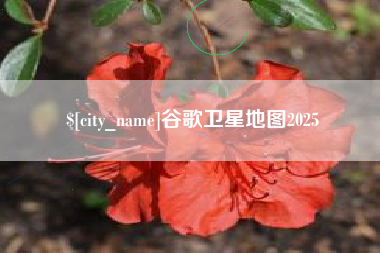 商水谷歌卫星地图2025