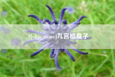商水九宫格盘子