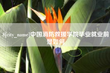 商水中国消防救援学院毕业就业前景如何