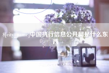 商水中国执行信息公开网是什么东西