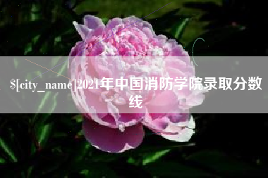 商水2021年中国消防学院录取分数线