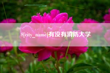 商水有没有消防大学