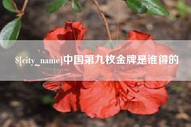 商水中国第九枚金牌是谁得的