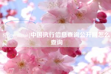 商水中国执行信息查询公开网怎么查询