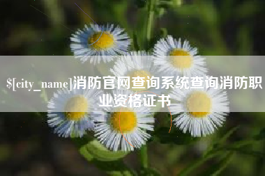商水消防官网查询系统查询消防职业资格证书