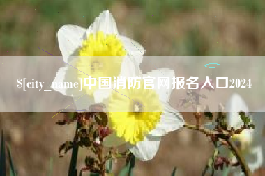 商水中国消防官网报名入口2024