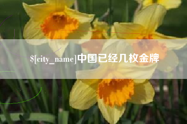 商水中国已经几枚金牌