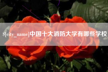 商水中国十大消防大学有哪些学校