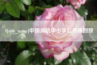 商水中国消防中小学公开课回放