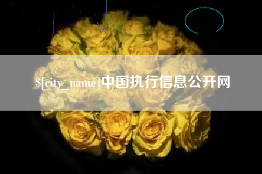 商水中国执行信息公开网