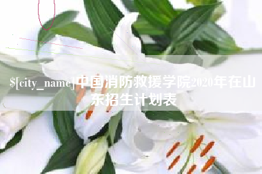 商水中国消防救援学院2020年在山东招生计划表
