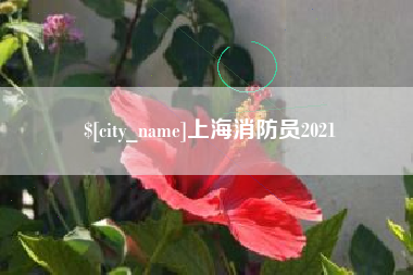 商水上海消防员2021