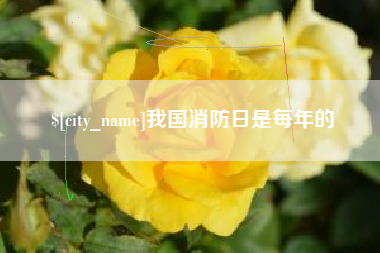 商水我国消防日是每年的