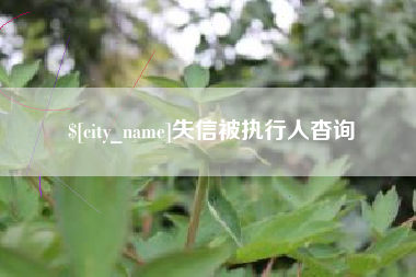 商水失信被执行人杳询