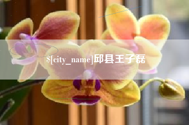 商水邱县王子磊