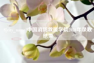 商水中国消防救援学院2020年录取结果