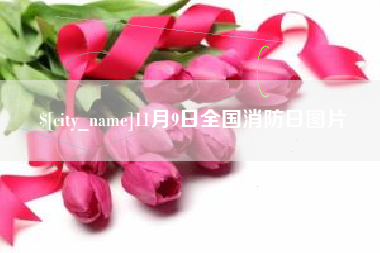 商水11月9日全国消防日图片