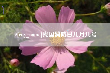 商水我国消防日几月几号