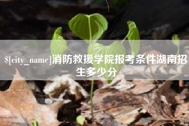 商水消防救援学院报考条件湖南招生多少分