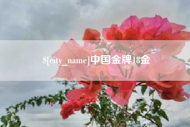 商水中国金牌18金