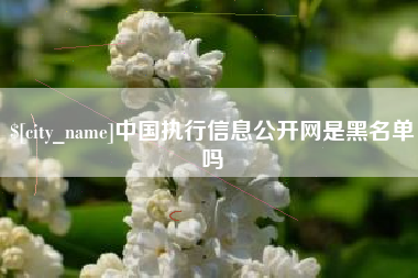 商水中国执行信息公开网是黑名单吗