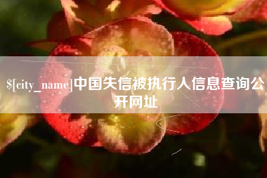 商水中国失信被执行人信息查询公开网址