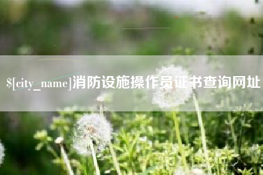 商水消防设施操作员证书查询网址
