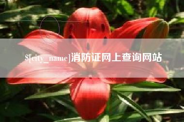 商水消防证网上查询网站