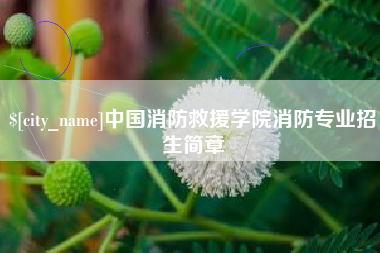 商水中国消防救援学院消防专业招生简章