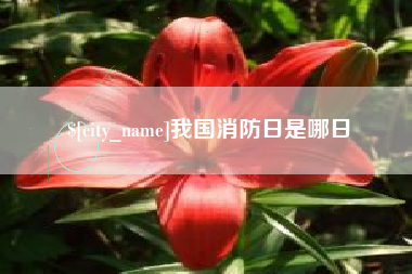 商水我国消防日是哪日