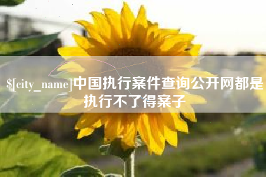 商水中国执行案件查询公开网都是执行不了得案子