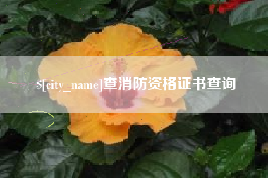 商水查消防资格证书查询